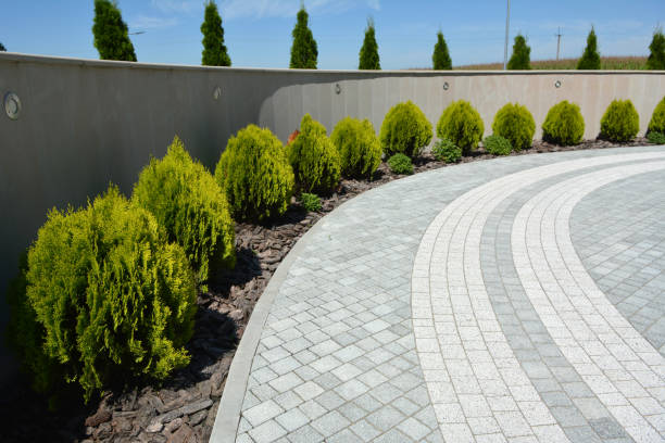 Best Decorative Driveway Pavers  in Thousand Oaks, CA